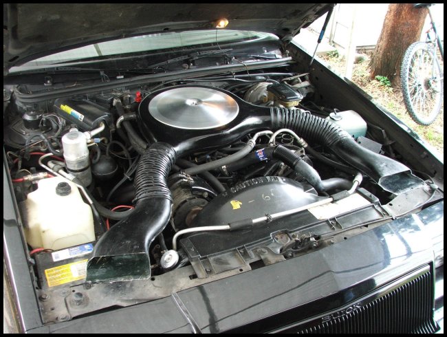pic13